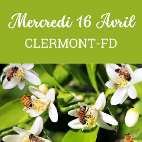 ESSAIM Dadant hiverné Frère Adam - Clermont-Fd, 16 Avril 2025 - COMPLET