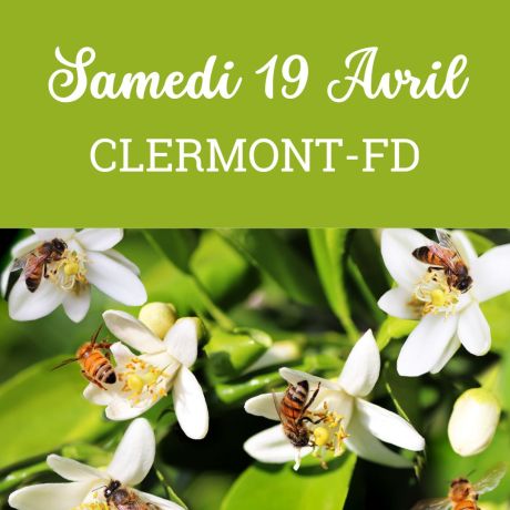 ESSAIM Dadant hiverné Frère Adam - Clermont-Fd, 19 Avril 2025 - COMPLET