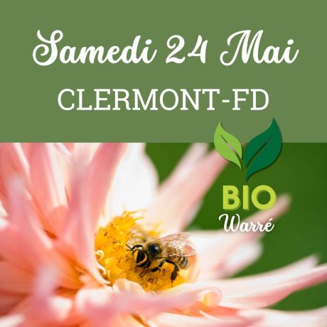 Essaim Warré BIO de l'année Frère Adam - Clermont-Fd, 24 mai 2025 - COMPLET