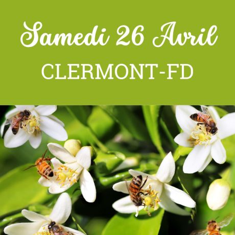  ESSAIM Dadant hiverné Frère Adam - Clermont-Fd, 26 Avril 2025 - COMPLET