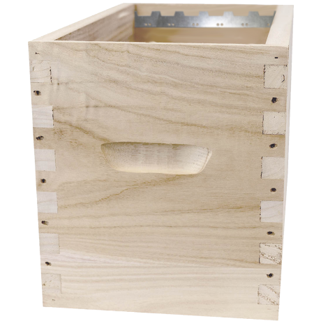 Corps Dadant 6 en Paulownia GREENBEE extralight, pour 6 cadres droits, équipé aimants CLIC&LOCK