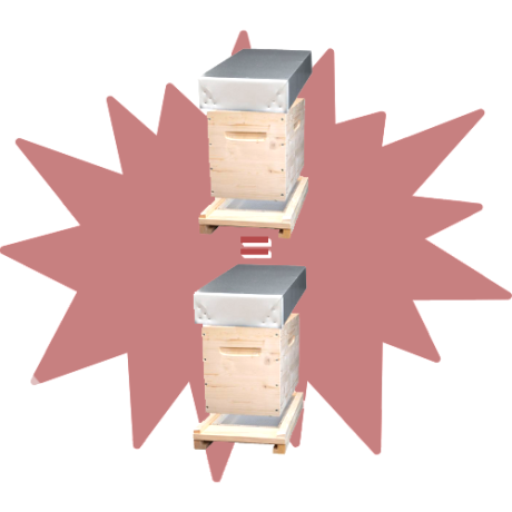 1 ACHETEE, 1 OFFERTE ! – Ruchette Dadant 6 BEENATURE en épicéa