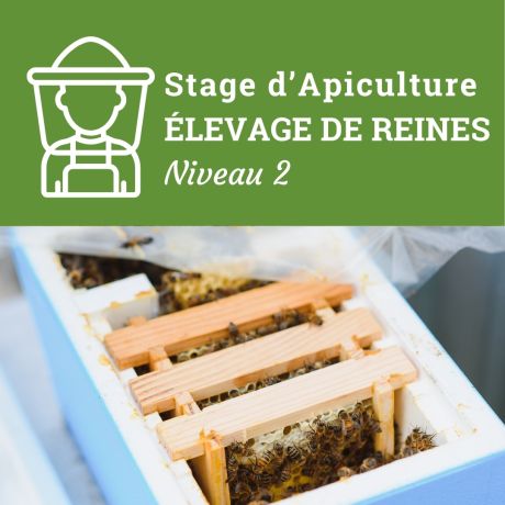 Stage d'apiculture en immersion "ELEVAGE DE REINES Niveau 2", le Samedi 24 Mai 2025