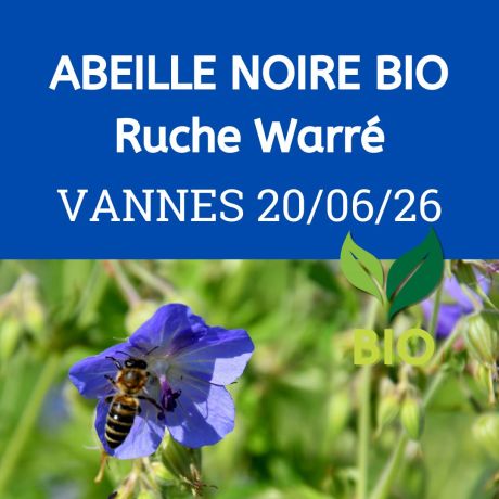 ESSAIM de l'année Reine Noire BIO - RUCHE WARRE - Vannes 20/06/2026