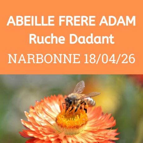 ESSAIM Dadant hiverné - Narbonne 18 avril 2026