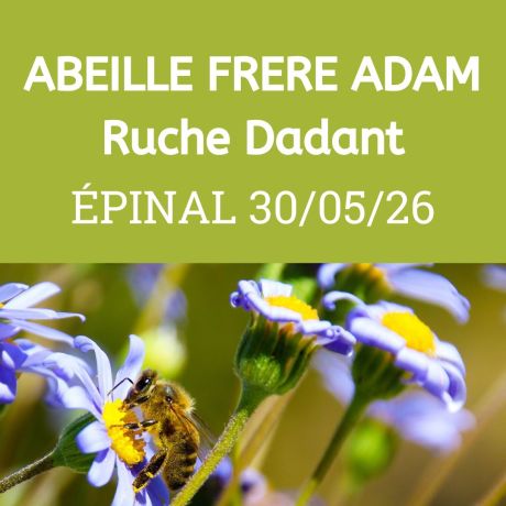ESSAIM Dadant de l'année - Epinal 30/05/2026