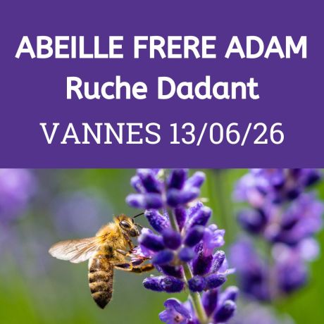 ESSAIM de l'année Reine Frère Adam - Vannes  13/06/2026