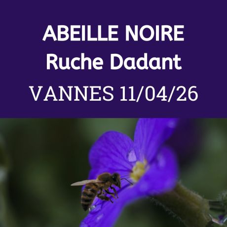 ESSAIM hiverné Reine Noire - Vannes  11/04/2026