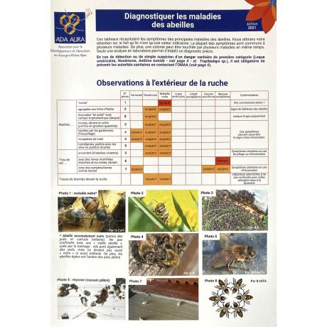 Fascicule "Diagnostiquer les Maladies des Abeilles" (Ed. ADAA)