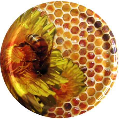 Capsule TO82 Florabelha, LE CARTON DE 770