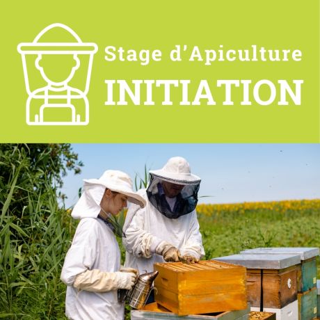 Stage d'initiation à l'apiculture, le Samedi 05/07/2025