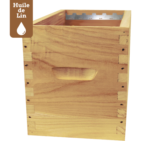 Corps Dadant 6 GREENBEE-LIN en Paulownia impérial extralight, pour 6 cadres droits 