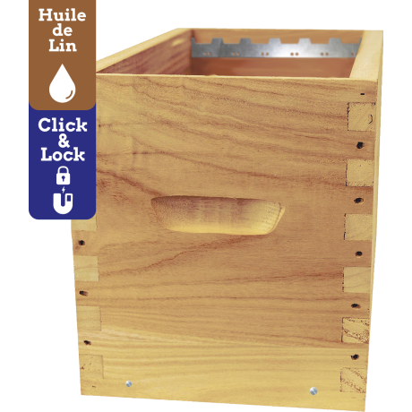 Corps Dadant 6 GREENBEE-LIN en Paulownia impérial extralight, pour 6 cadres droits - Equipé CLIC&LOCK