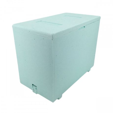 Ruchette polystyrène Dadant 6 haute densité QUARTI VERTE aération partielle