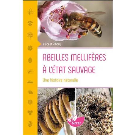 Livre "ABEILLES MELLIFERES A L'ETAT SAUVAGE" Vincent Albouy (Ed Terran)