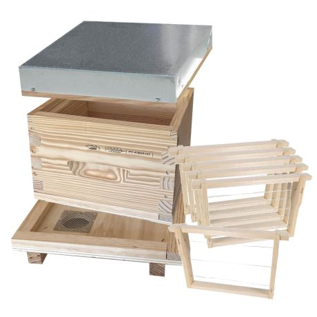 Nucléi Wagnuc en pin maritime à tenons, complet avec cadrons bois