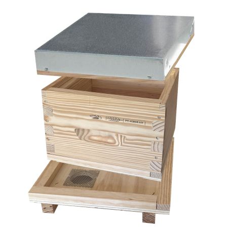 Nucléi Wagnuc en pin maritime, complet avec cadrons