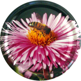 Capsule Twist-Off Fleur/Abeille mauve, Le sachet de 36