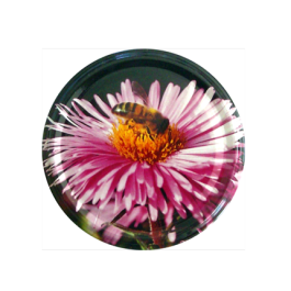 Sachet de 12 capsules TO82 Fleur/Abeille mauve