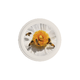 Capsule ABEILLES FLEUR BLANCHE, le sachet de 36