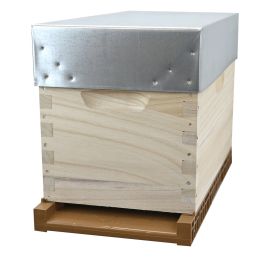 Ruchette Dadant 6 en Paulownia GREENBEE, avec plancher plastique 15F40