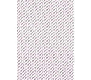 Grillage inox (0,5 x 1 m)