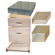 Ruche Dadant 10 en paulownia, GREENBEE extralight, avec hausse et cadres filés