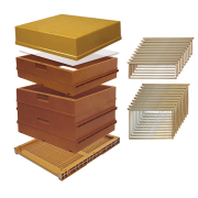 Ruche Dadant 10 NICOTPLAST en plastique complète avec hausses et cadres