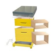 PACK Ruche Dadant 10 BEECOLOR jaune soleil avec plancher ventilation totale