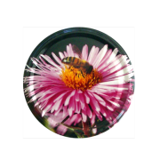 Sachet de 12 capsules TO82 Fleur/Abeille mauve