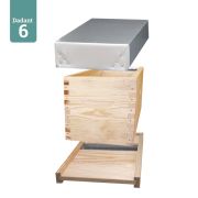 Ruchette Dadant 6 NATURAPI en pin maritime 15F1