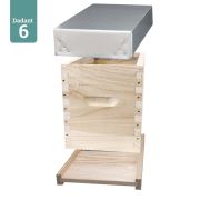 Ruchette Dadant 6 en Paulownia GREENBEE extralight, Modèle Basis 15F4