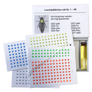 Coffret marquage de reines