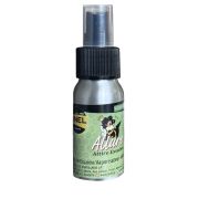 Attire essaim Allure ultra concentré, le spray de 30ml