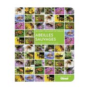 Livre "Abeilles sauvages"  (édition Glénat)