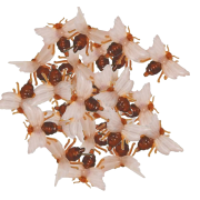 Abeille pique , la pièce