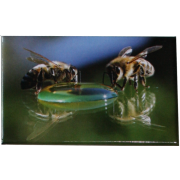 Magnet "abeilles sur bulle" 