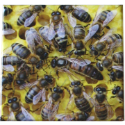 Magnet "reine dans la ruche"