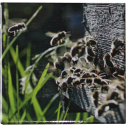 Magnet "au trou de vol" 