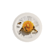 Capsule ABEILLES FLEUR BLANCHE, le sachet de 36