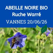 ESSAIM de l'année Reine Noire BIO - RUCHE WARRE - Vannes 20/06/2026