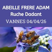 ESSAIM hiverné Reine Frère Adam - Vannes 04/04/2026