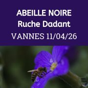 ESSAIM hiverné Reine Noire - Vannes  11/04/2026