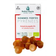 Gommes fortes à la propolis BIO, Ballot Flurin, le spray de 15ml