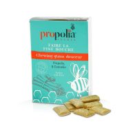 Chewing Gum Propolis Cannelle, Propolia, la boite de 24g