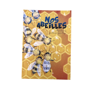 Livre "NOS ABEILLES" J.B Jamon-Boyer et M. Decroocq