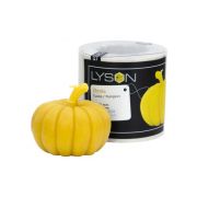 Moule silicone à bougie Citrouille