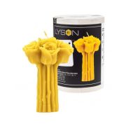 Moule silicone à bougie Bouquet de Roses
