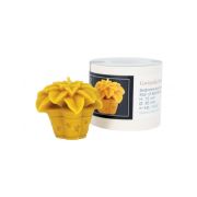 Moule silicone à bougie Poinsettia