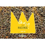 Livre Jeu "Où est la reine?"